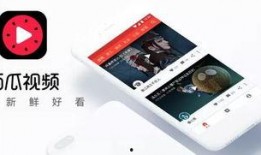 今日西瓜爆料视频最新,揭秘今日热点事件幕后真相