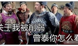 张良烧烤二小姐最新爆料,揭秘幕后真相与惊人内幕