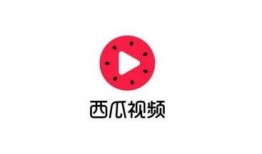 正能量爆料吃瓜视频,揭秘吃瓜视频背后的精彩故事